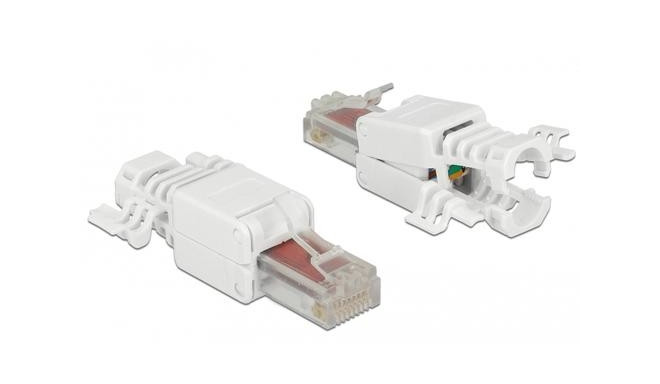 DeLOCK 86416 wire connector RJ-45 White