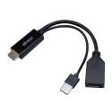 Akasa HDMI to DisplayPort Adapter cable