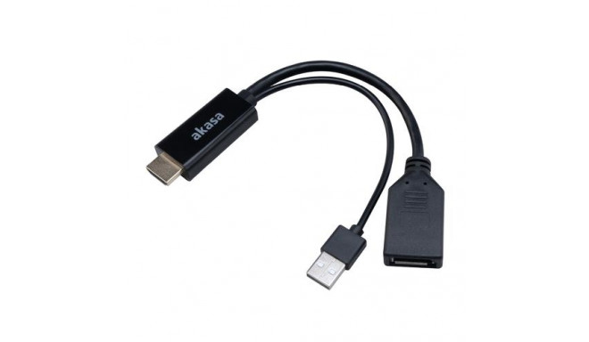 Akasa HDMI to DisplayPort Adapter cable