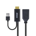 Akasa HDMI to DisplayPort Adapter cable