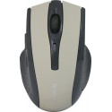 Defender ACCURA MM-665 mouse Right-hand RF Wireless Optical 1600 DPI