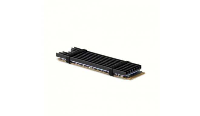 Axagon CLR-M2L3 computer cooling system Solid-state drive Heatsink/Radiatior Black