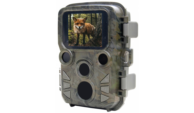 Braun track camera Scouting Cam Black800 Mini
