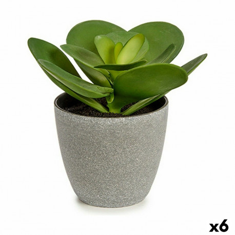 Dekoratiivne Taim Ibergarden YC184572 Plastmass 18 x 18,5 x 18 cm (6 Ühikut)