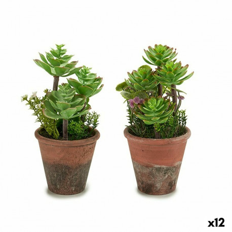 Dekoratiivne Taim Ibergarden XD16-849 Plastmass Sukulent 16 x 23 x 16 cm (12 Ühikut)