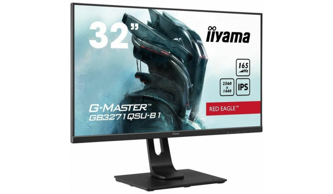 Монитор Iiyama 31,5" LED IPS AMD FreeSync Flicker free 165 Hz