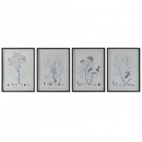 Glezna DKD Home Decor Moderns Botāniskie augi 45 x 2,5 x 60 cm (4 gb.)