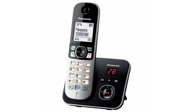 Беспроводный телефон Panasonic KX-TG6821FRB Чёрный Серый
