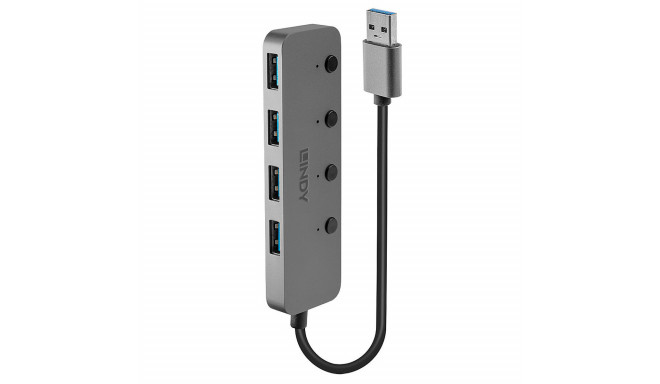 USB-jaotur LINDY Must Hall (1 Ühikut)