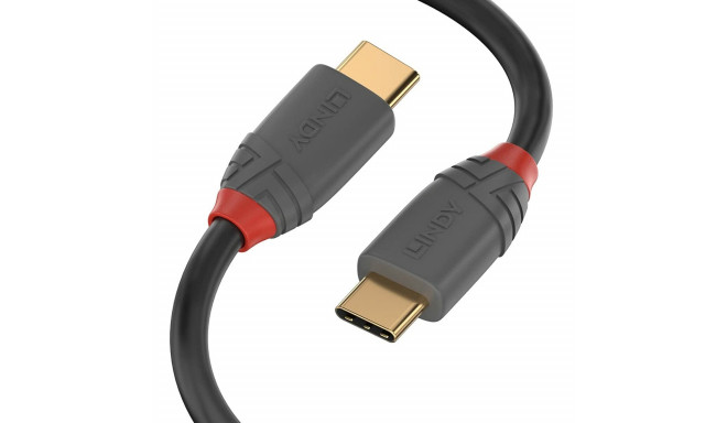 Cable USB C LINDY 36902 Black 1,5 m