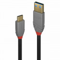 USB A - USB C Kaabel LINDY 36911 Must Antratsiithall