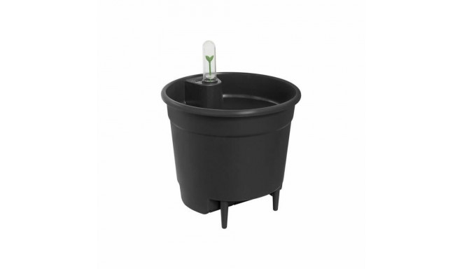 Taimepott Elho Must polüpropüleen Ringjas Kaasaegne Ø 21 cm 21 cm