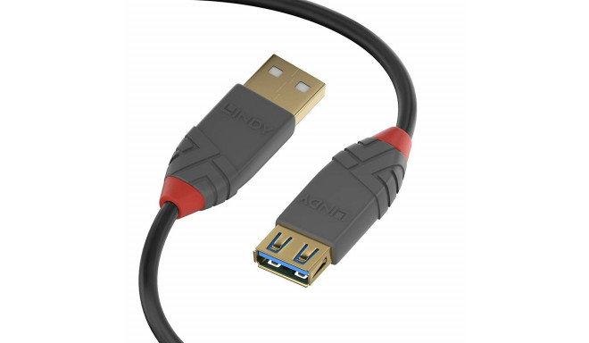 USB Cable LINDY 36760 50 cm Black