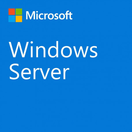 Microsoft Windows Server 2022 1 litsents