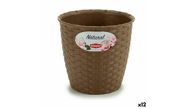 Planter Stefanplast 73454 73454 Brown Plastic 14 x 13 x 14 cm (12 Units)