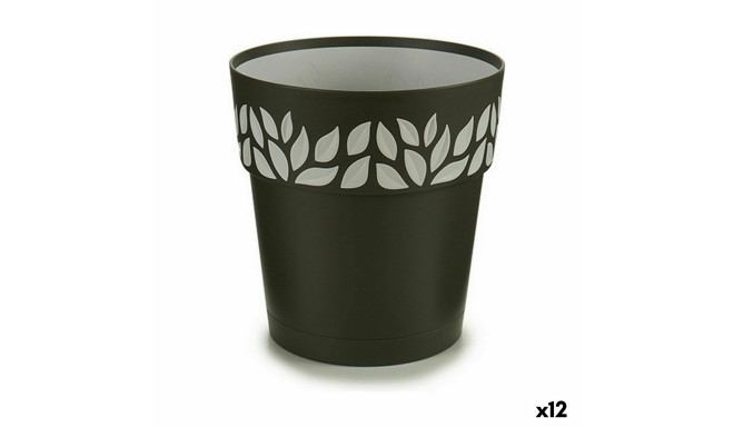 Isekastuv lillepott Stefanplast 94053 Cloe Antratsiithall Plastmass 19 x 19 x 19 cm (12 Ühikut)