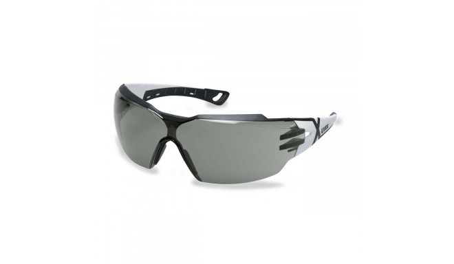 Safety glasses Uvex Pheos CX2 with gray panoramic lens