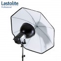 Lastolite RayD8 - c3200 Kit