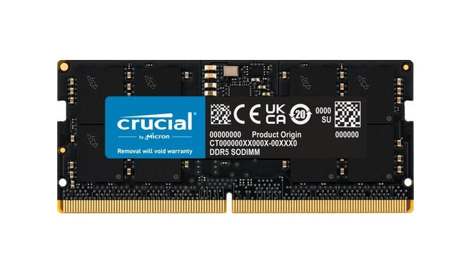 Crucial SORAM D5 5600 24GB CL46 - 24 GB memory module 1 x 24 GB DDR5 5600 MHz ECC