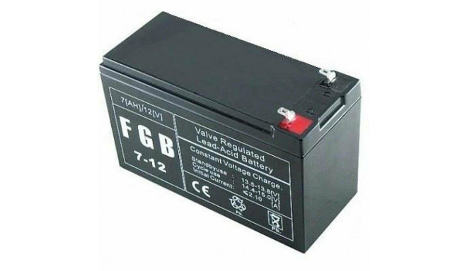 BATTERY 12V 7AH C20/AM7-12T2 EMU