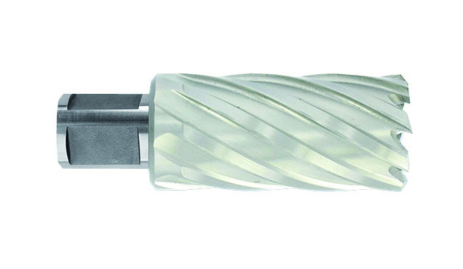 Kroonpuur Ø23X80X50 mm, HSS, pikk seeria. Kinnitus Ø19 mm, Weldon. Haljas