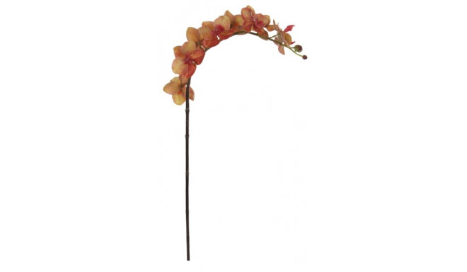 Kunstlill ORHIDEE/ soe pruun 77cm