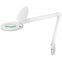 Luupvalgusti XL 3D LED 8W/865  650lm, 6500K, 3D=1,75x, max H-820mm/ klambriga, valge