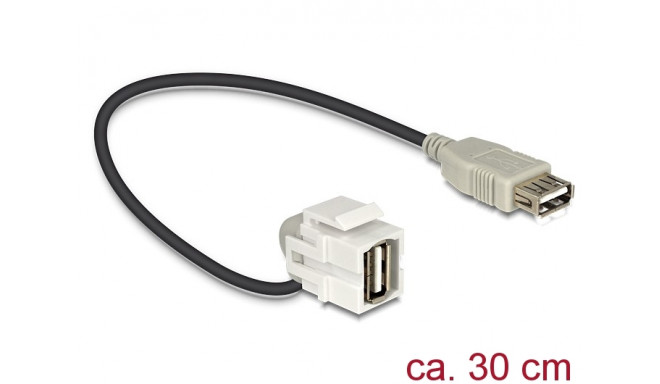 Keystone moodul: USB 2.0 A F / F, 110° nurgaga, kaabli pikkus 22cm, valge