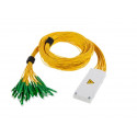 Splitteri moodul 1:8 LC/APC 1.8m pigtail OCM8-SP118LLG-20DB