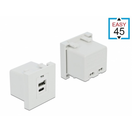 Delock Easy 45 USB Charging Port Module 1 x Type-A + 1 x USB Type-C™