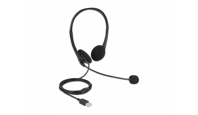 Delock USB Stereo Headset with Volume Control for PC and Laptop