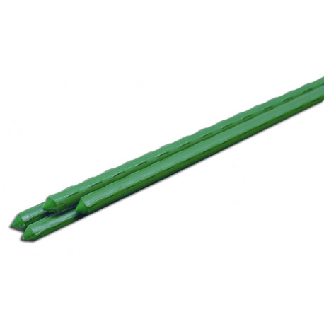 Taimetugi sirge 8mm 60cm