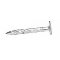 SCREW NAILS EXTEND HEAD 3.0X30 ZN 300 G