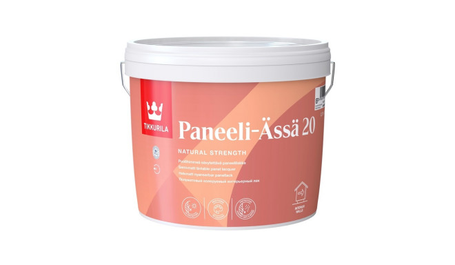 LACQ PANEELI ASSA 20 poolmatt 2.7L