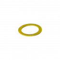 GAMBIT GASKET FOR UNION 2IN