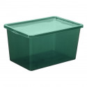 COLOR BOX20L TRANSLUCENT GREEN