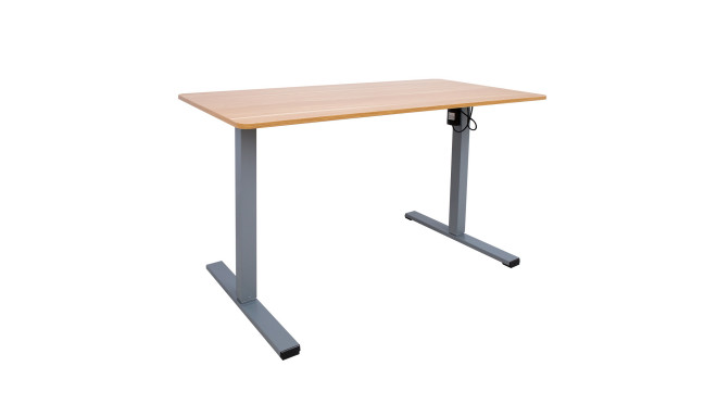 Töölaud ERGO OPTIMAL 1-mootoriga 120x60xH71-116cm, tamm/hõbehall
