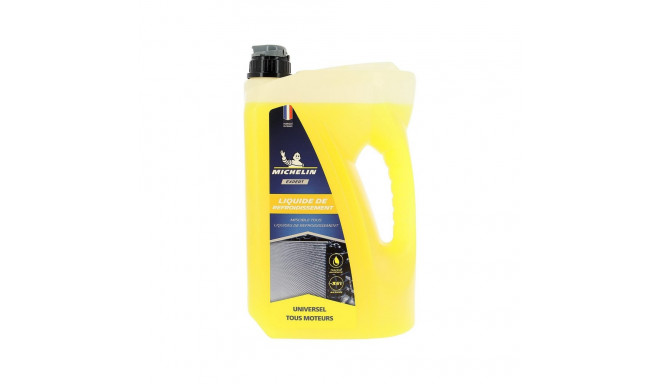 Antifreeze Michelin IMP009214 4 L