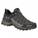 Salewa Mtn Trainer Lite GTX W 61362-7517 trekking shoes (EU 38,5)