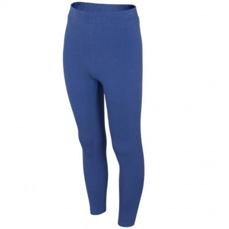 Leggings 4F Jr HJL22 JLEG001 33S (152cm)