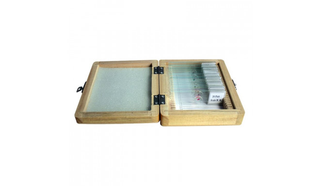 Prepared slide set, 20 slides in a wooden box, Omegon