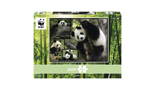 Ambassador Pandas 1000 Pieces
