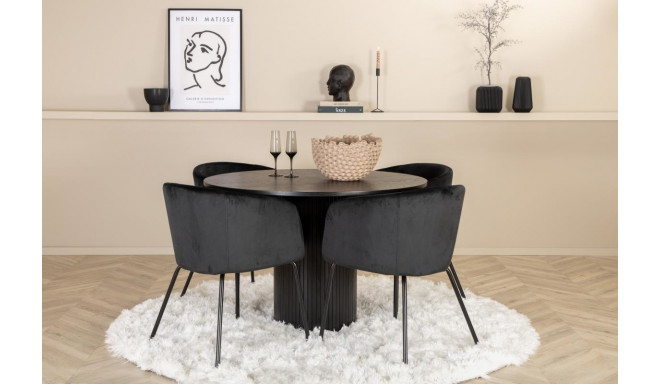 Söögitoa komplekt Bianca&Berit 4 tooli