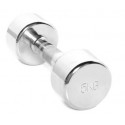 Chromed dumbbell TOORX MC-5 5kg