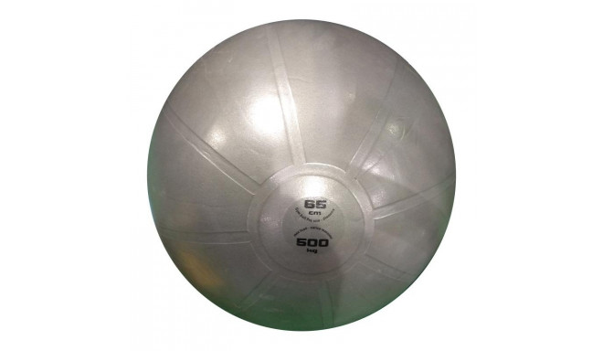 Gym ball TOORX PRO AHF148 D65cm antiburst grey