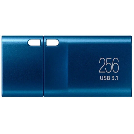 SAMSUNG Type-C 256 GB, USB stick (blue, USB-C 3.2 Gen 1)