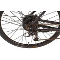 Prophete Urbanicer 21.EMU.10 (2021), Pedelec (black (matt), 28, 55 cm frame)