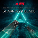 ADATA XPG GAMMIX S70 BLADE 1 TB, SSD (gray, PCIe 4.0 x4, NVMe 1.4, M.2 2280 )