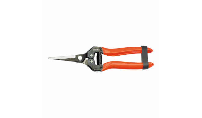 Garden Scissors Stocker Forged steel 19 cm Fruit and Vegetable Picker Grapes