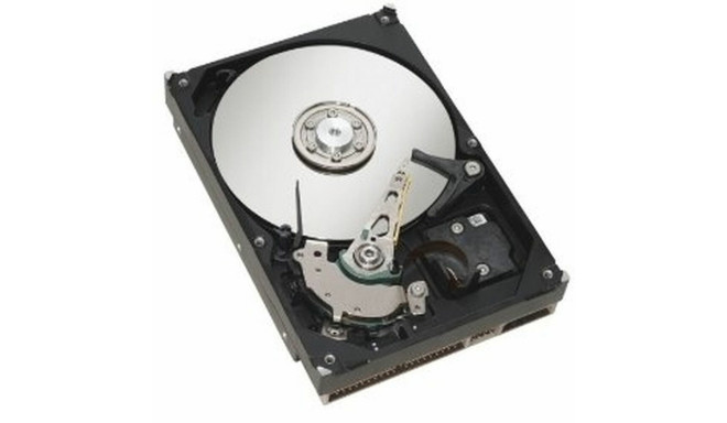 Hard Drive Fujitsu S26361-F3956-L200 2TB 2,5"
